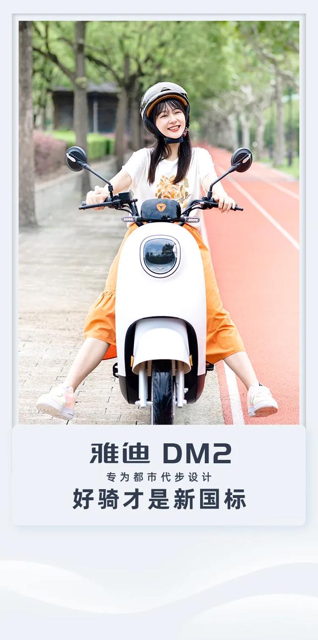 雅迪2022旗舰新品DM2图片