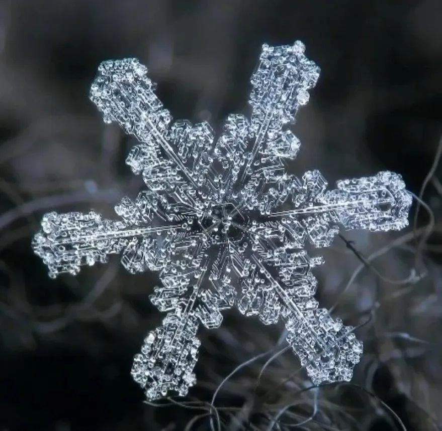微观世界的雪花
