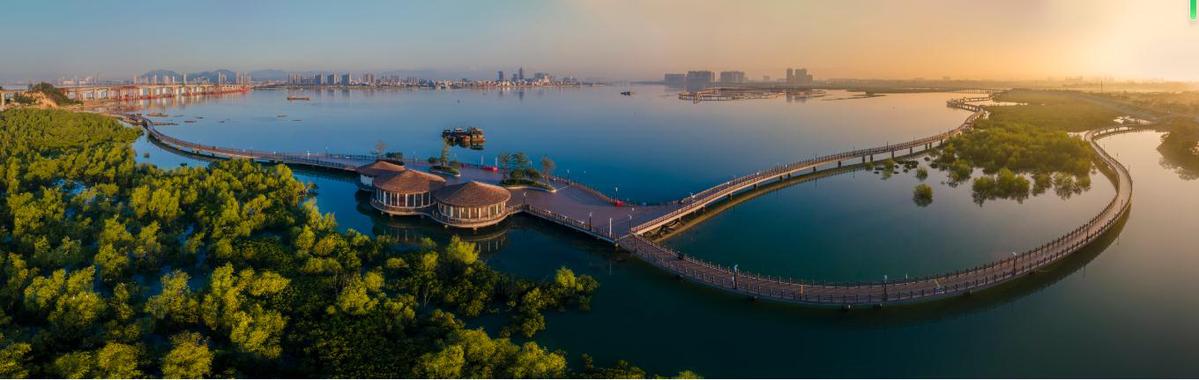 厦门翔安20周年|金砖碳中和林:城市绿肺 网红新宠