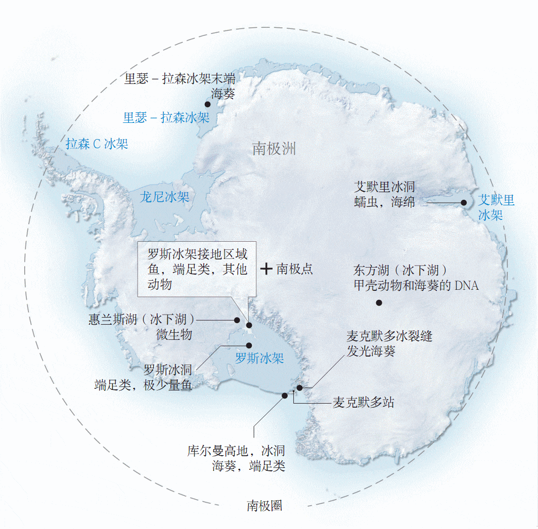 南极地区分布图图片