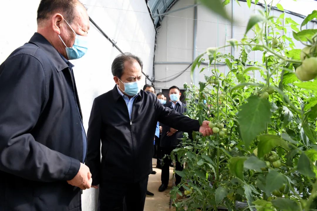 驻马店市委副书记曹新博深入新蔡县调研