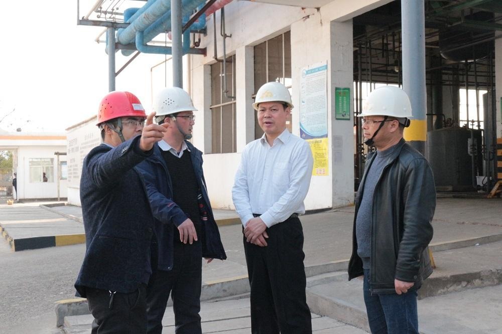 彭学凯巡查我区安全生产及环保建设工作