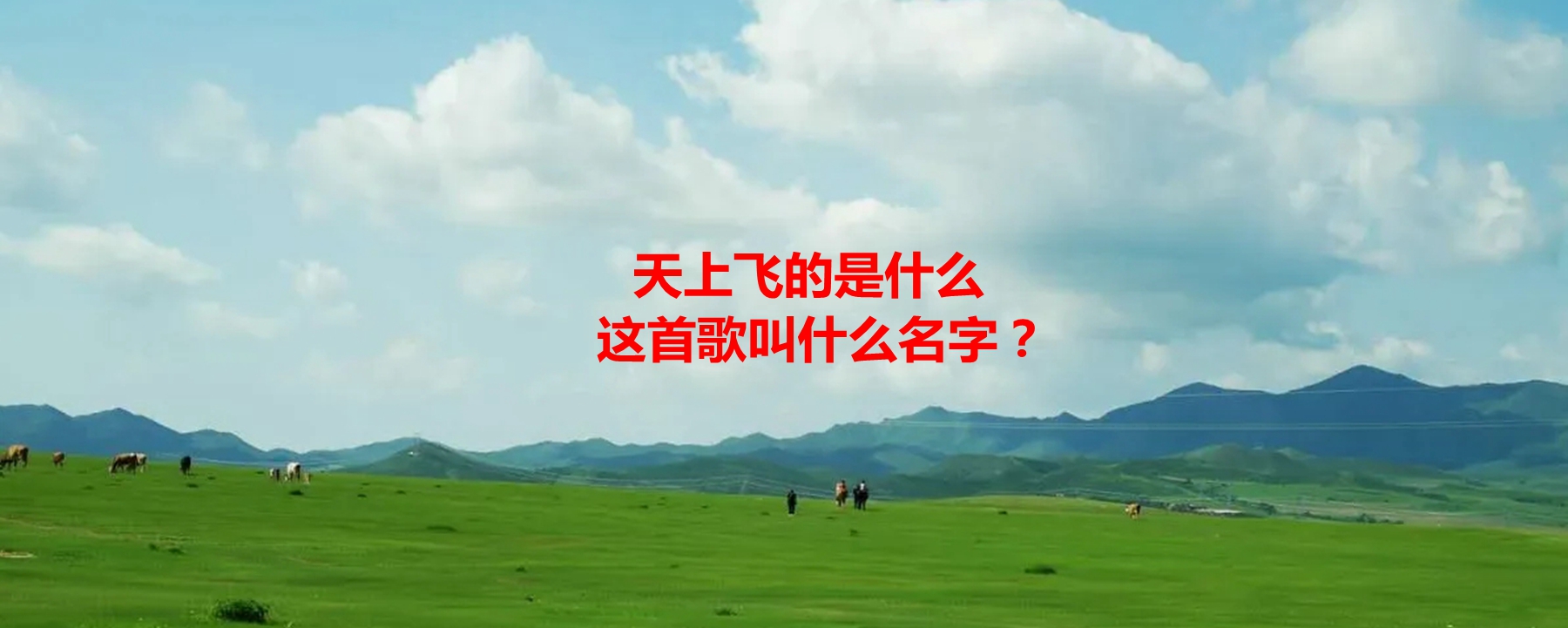天上飞的是什么这首歌叫什么名字?