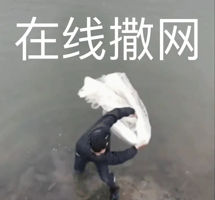 在线撒网