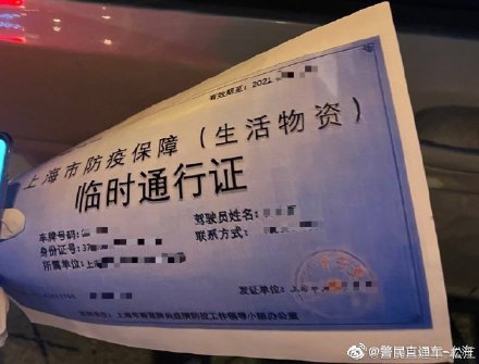 男子使用伪造防疫车辆通行证被拘留