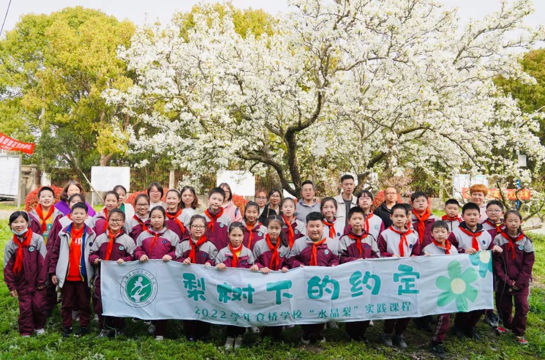 仓桥学校:让学校适合每一位师生的发展丨家门口的好学校