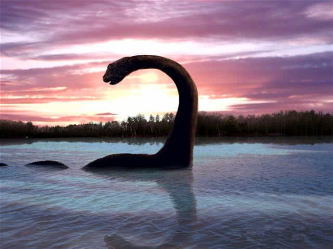 神农架6次出现水怪,头像蛤蟆,喷水有1丈多高,学者判断是虾蟆螈