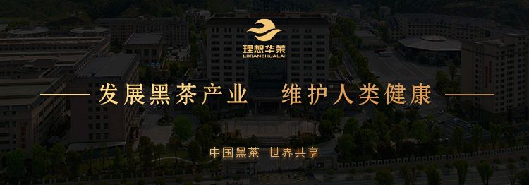 理想华莱:历经五年沉淀,为世界奉上一杯中国黑茶