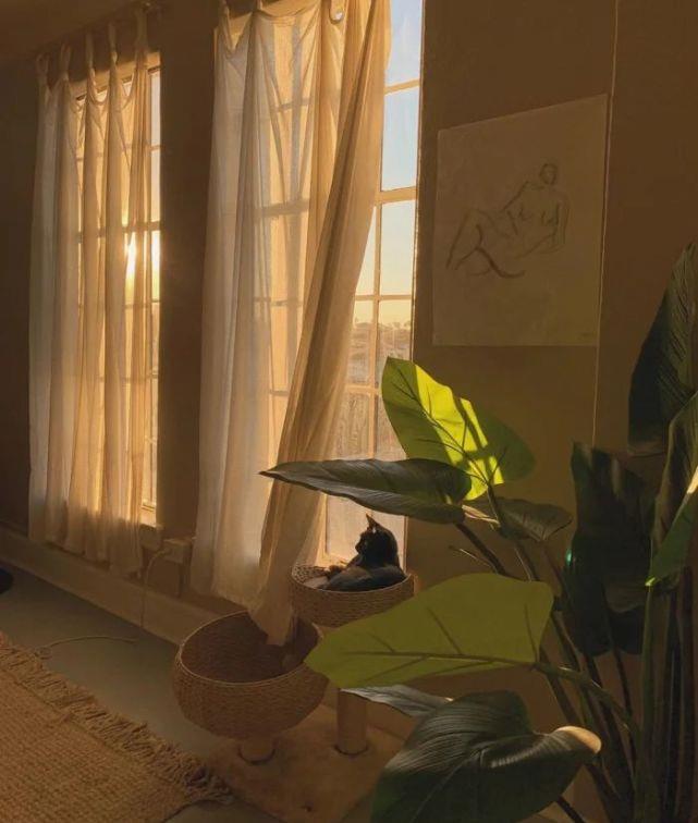 又酷又洒脱的文案,句句简单干净,越看越爱