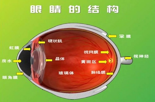 宝妈关心的眼底检查真的很痛吗?真相是这样的