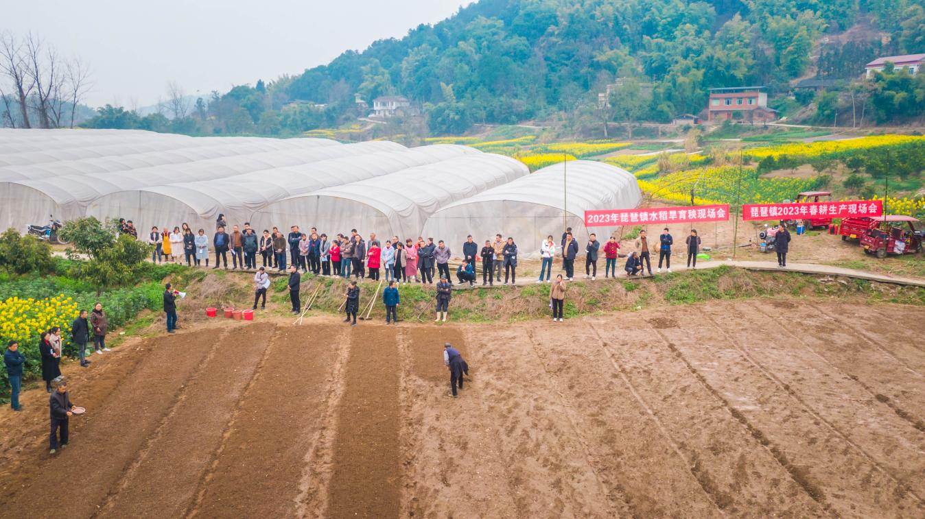 富顺县琵琶镇召开2023年春耕生产现场会