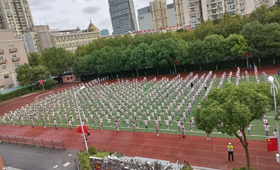上海洋泾菊园实验学校挂职随笔 │ 郑荣华:"泾"之小流,灼灼其"菊","