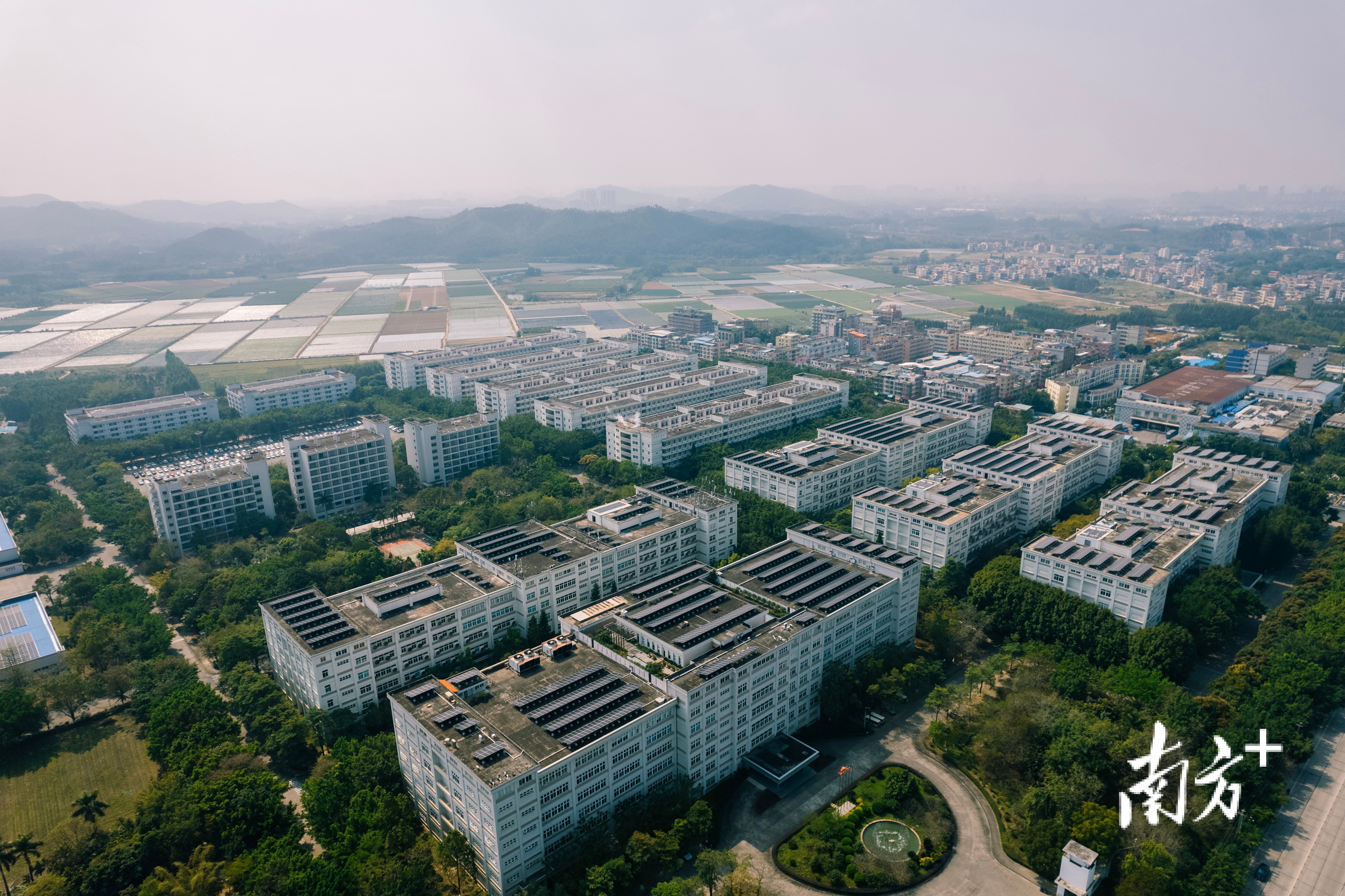 視頻|南旋集團將在惠州打造高端智能織造基地