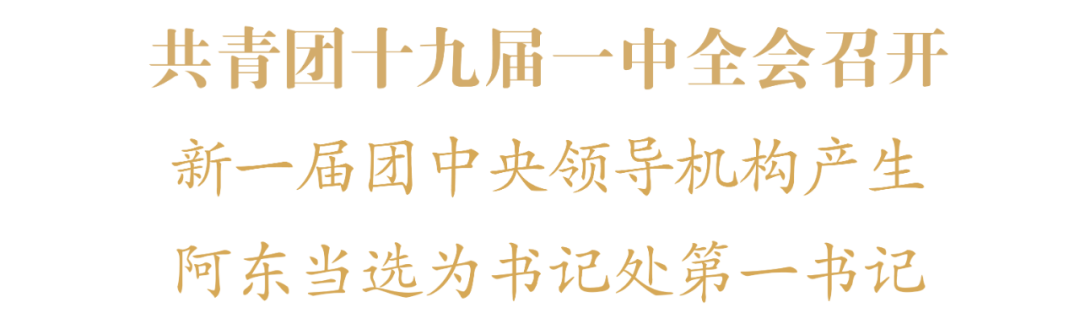 共青团十九届一中全会召开