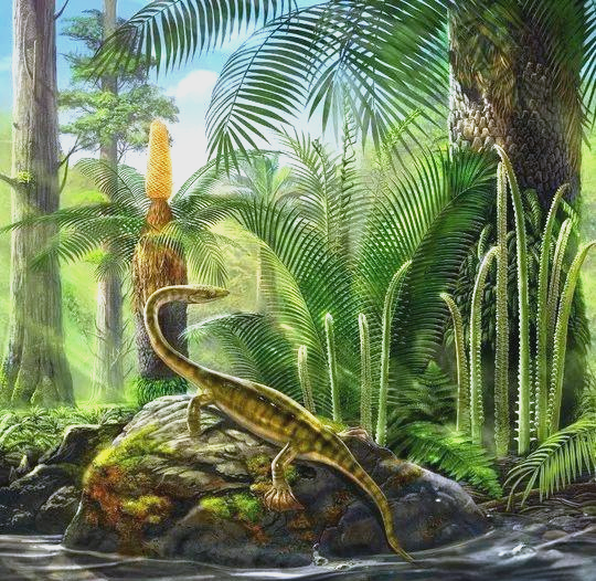 贵州龙:从陆生到水生的惊人进化