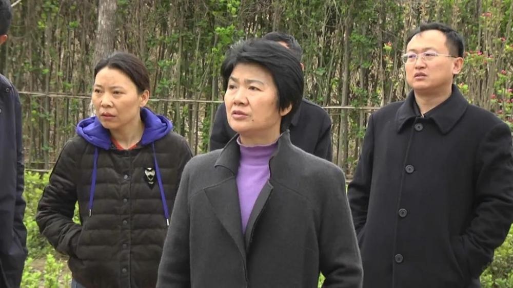 梁惠民现场督导伊尹公园绿化工作