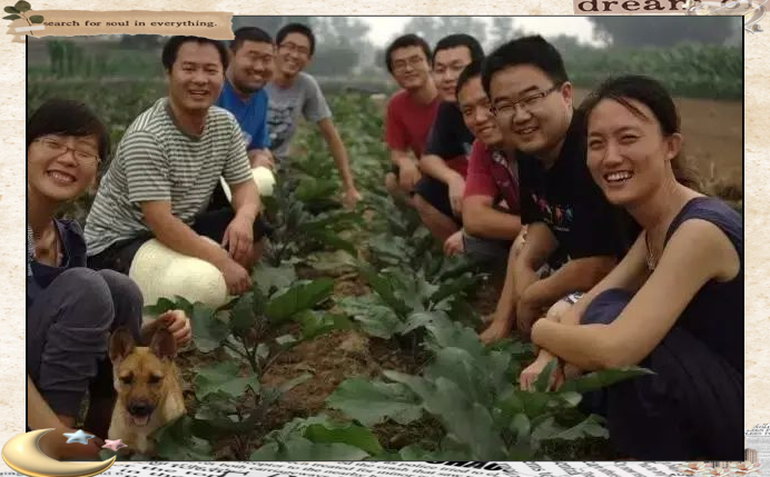 石嫣的分享收获农场与有机铁棍山药的美味探索