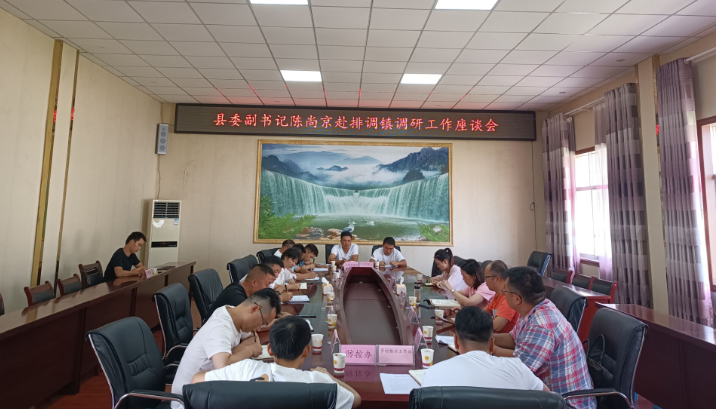 陈尚京一行赴排调镇调研指导乡村振兴工作