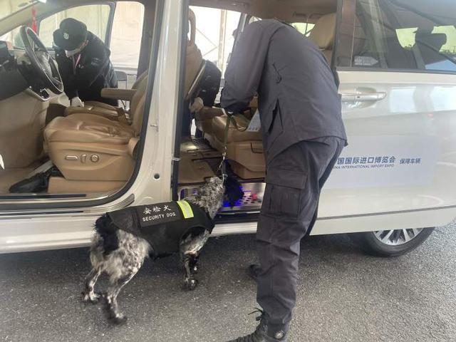 日行两万五千步,上海轨交警犬和民警在进博从清晨巡逻到深夜