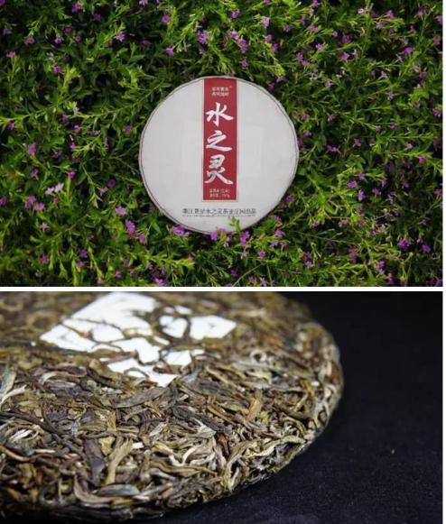 云雾深山藏好茶:"水之灵"茶香溢四方