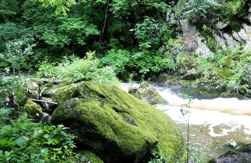 小兴安岭深处的"九寨沟,夏季均温20度,堪称避暑的天堂!