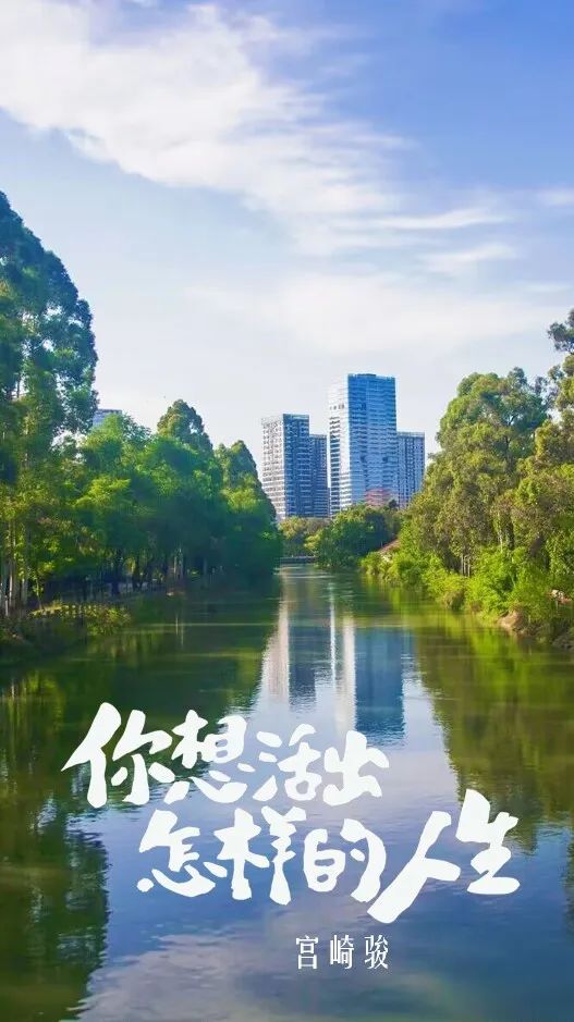 是向阳而生的万物是热烈的盛夏如茵绿草,向荣之木绿荫幽草胜花时晴日