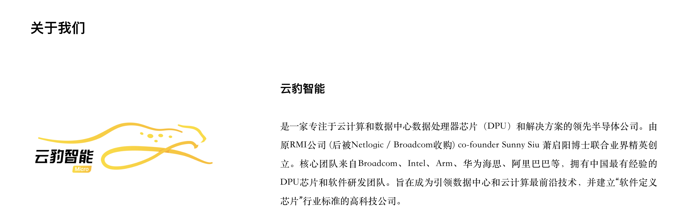 腾讯增资半导体公司云豹智能