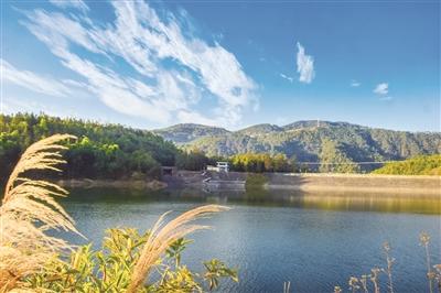 翁堵镇:生态文明筑起"金山银山"