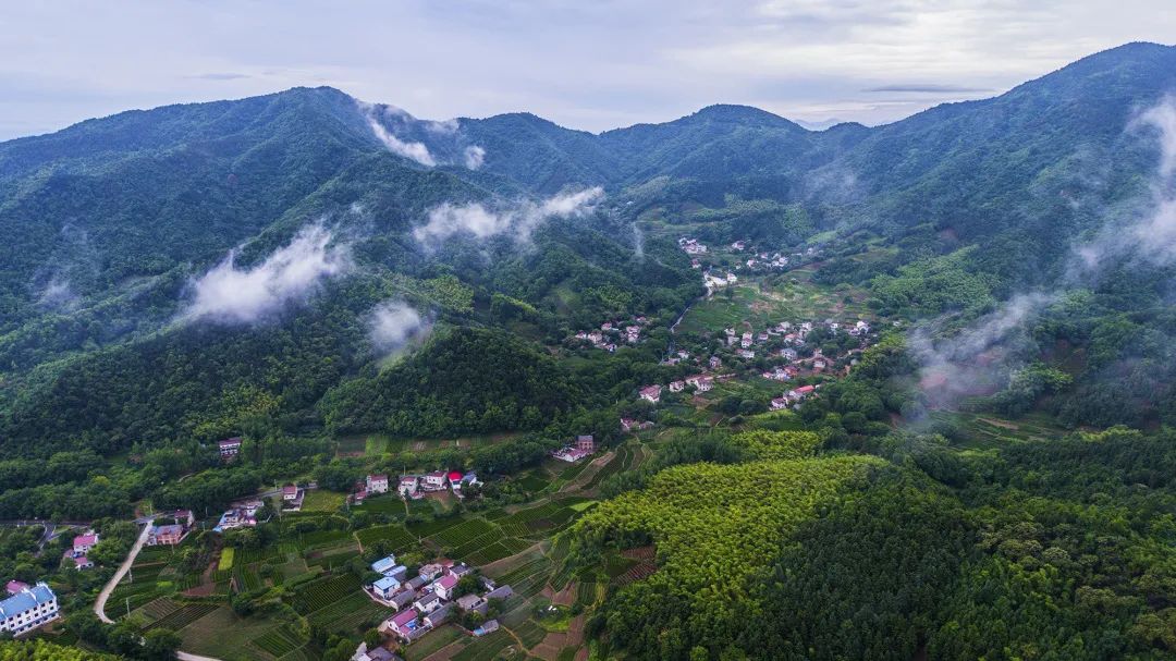 【擘画新蓝图 扬帆新征程】柯坦镇:茶旅融合开新局