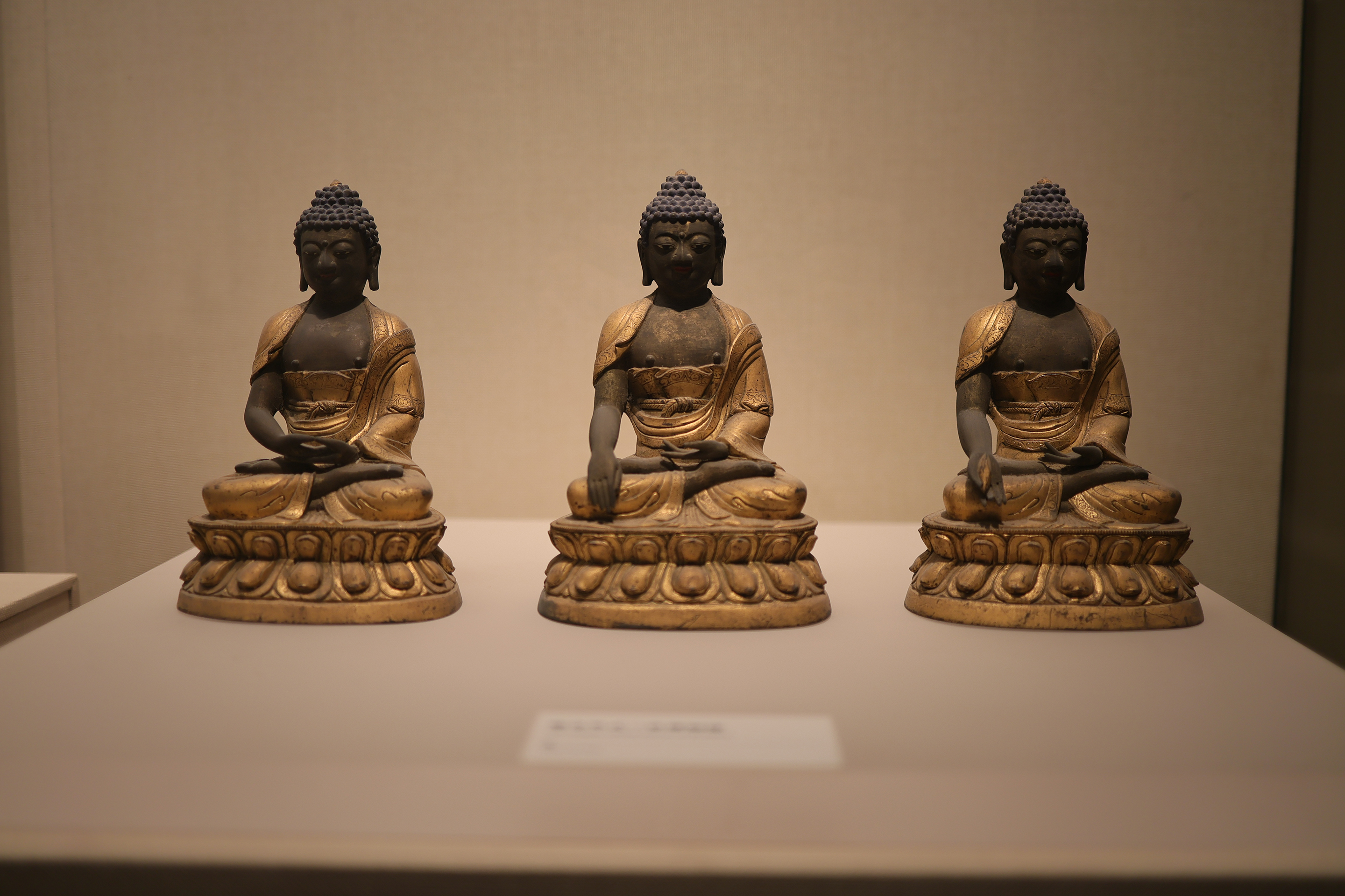 云游正定县博物馆