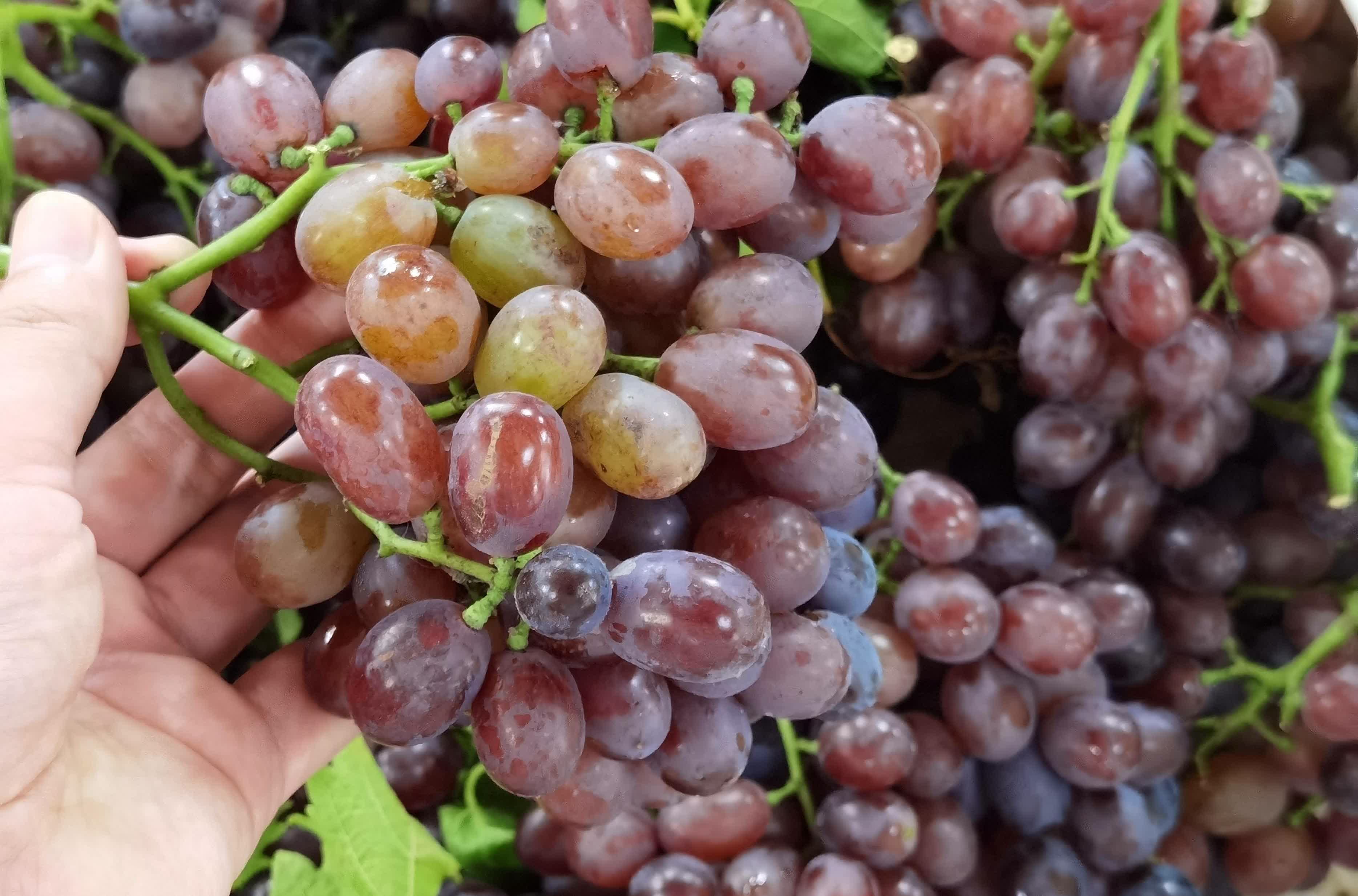 如何正确清洗葡萄?忘掉面和盐,洗掉虫卵的妙招!