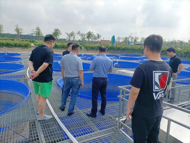 广州市黄埔区副区长何宇鸿带队考察优鱼,探讨智慧渔业技术新发展