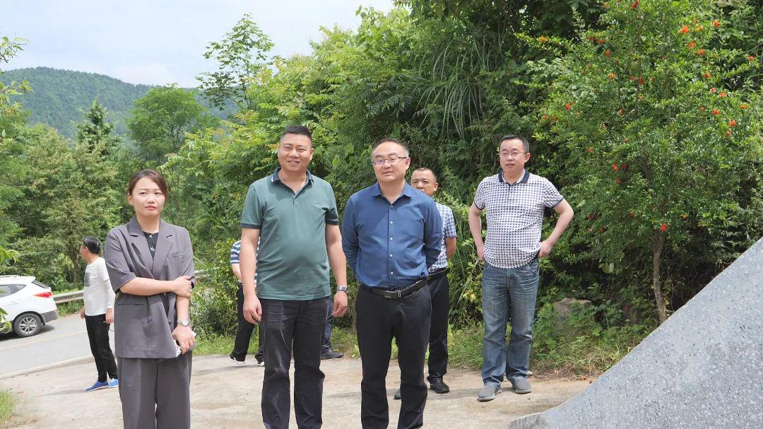 梁高武到乡镇调研烟叶生产和乡村风貌改造等工作