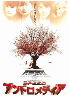 仙女座报告