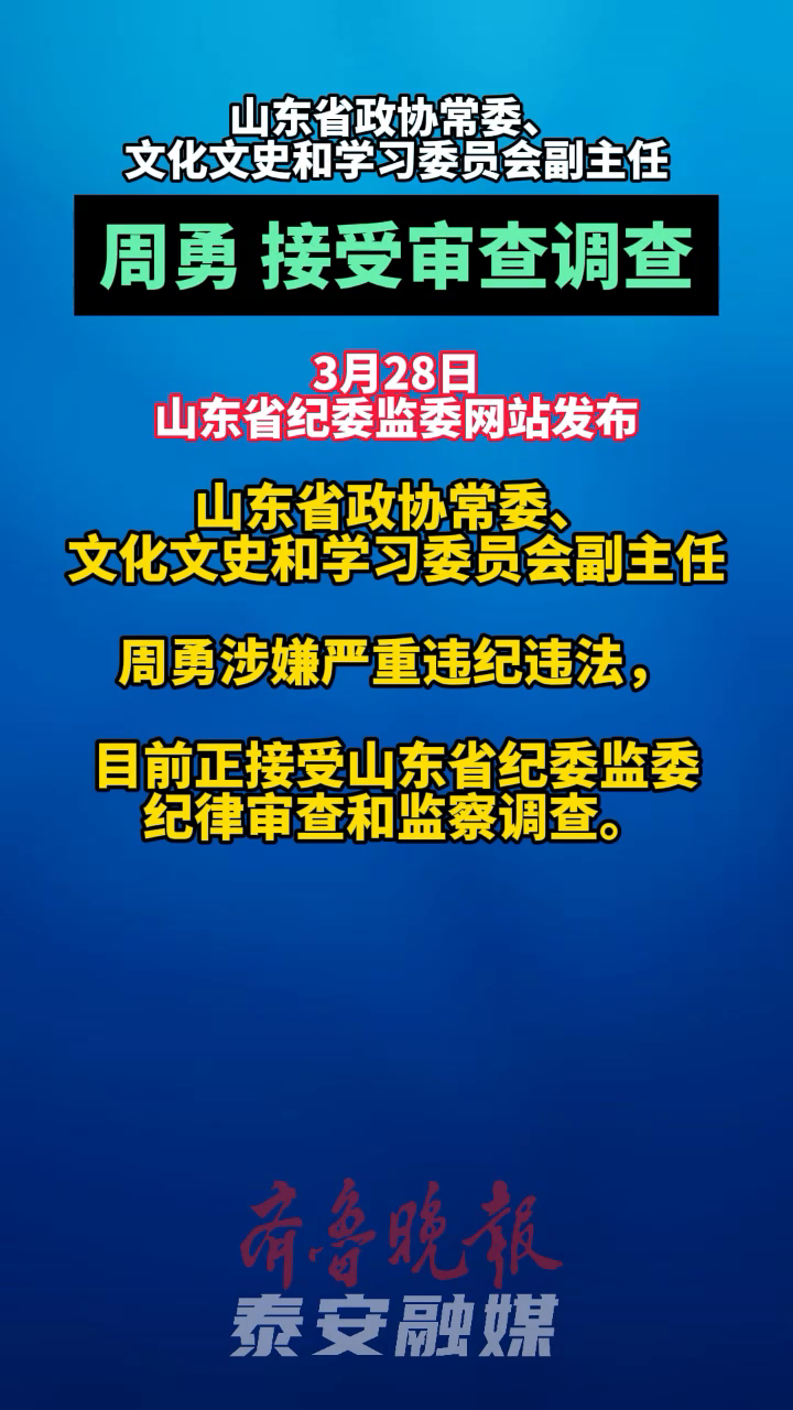 诸城桑莎周勇董事长图片