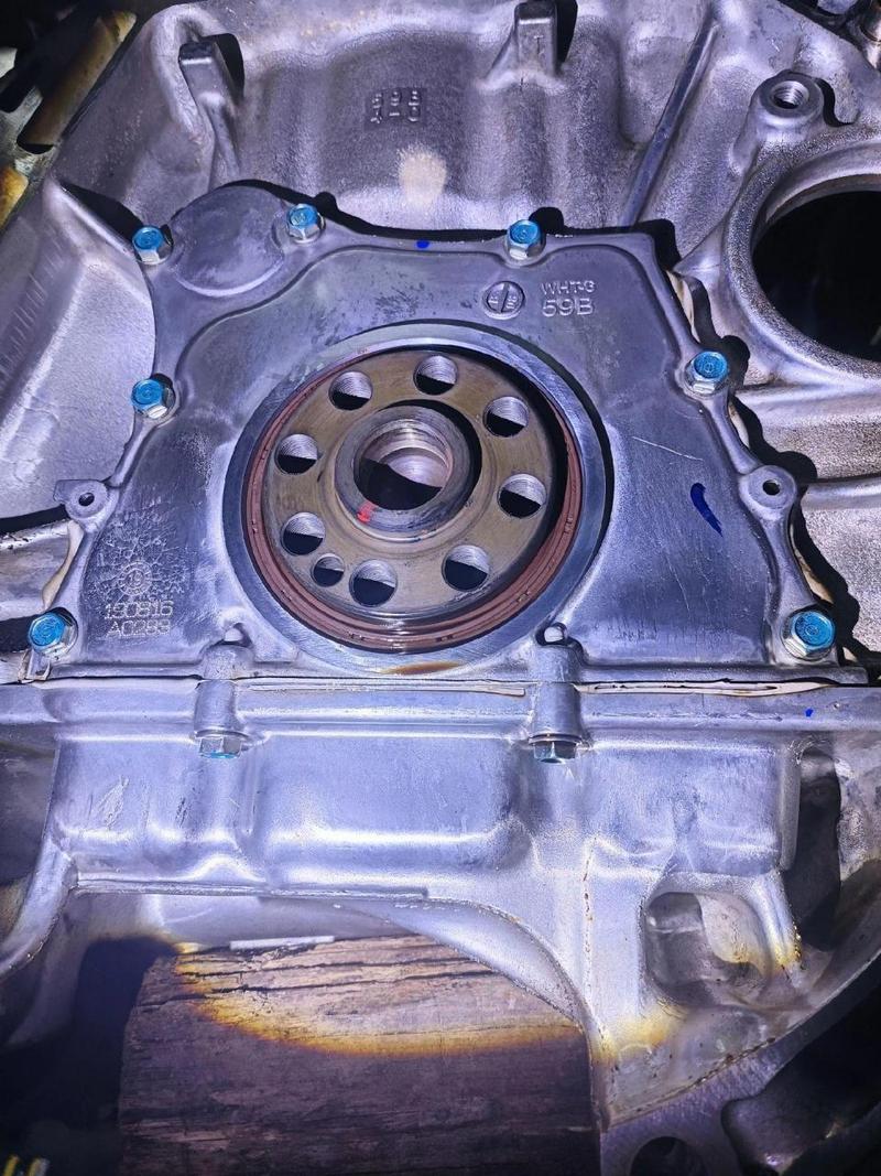 Ret¨¦n trasero de aceite del cig¨¹enal