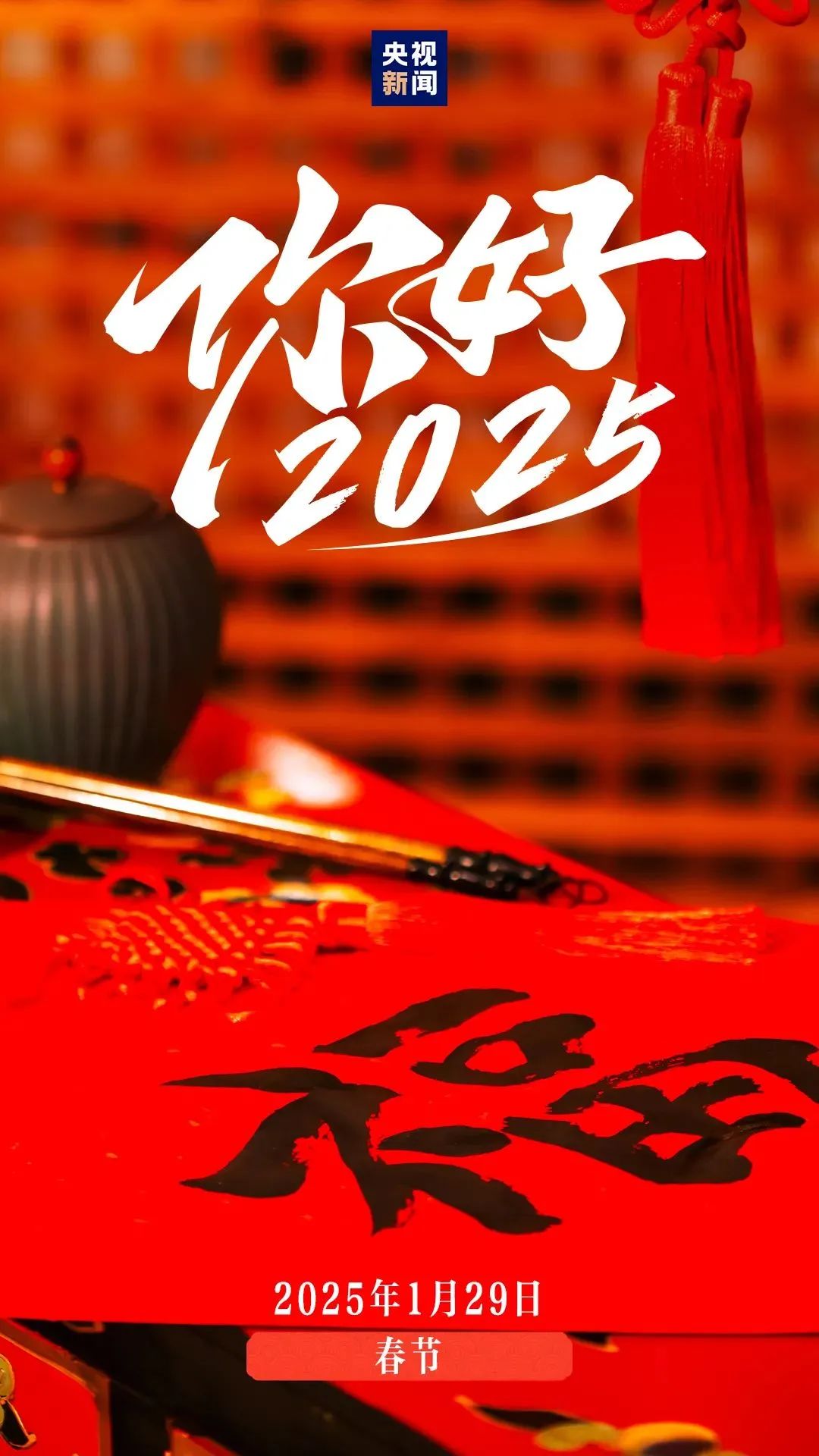 12张图,速览2025