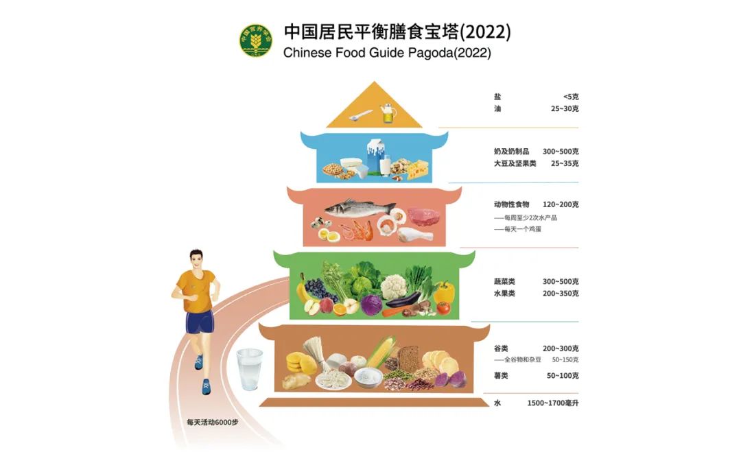 营养金字塔标准图片