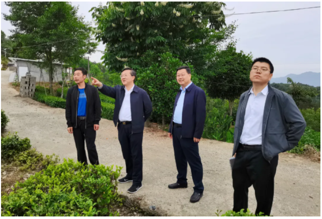 曹明权来我县就全市茶叶产业发展情况作专题调研