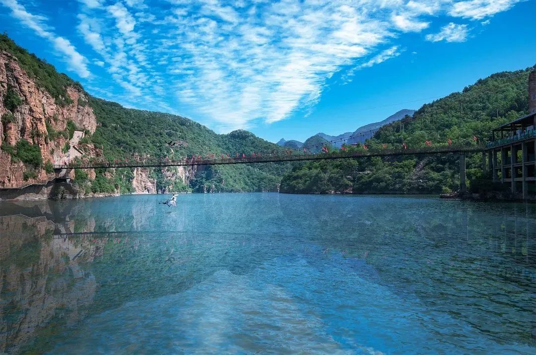 顶流来了这个春天在河北郁见浪漫