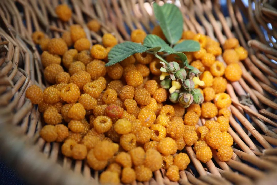 惦念腾冲酸甜的夏季