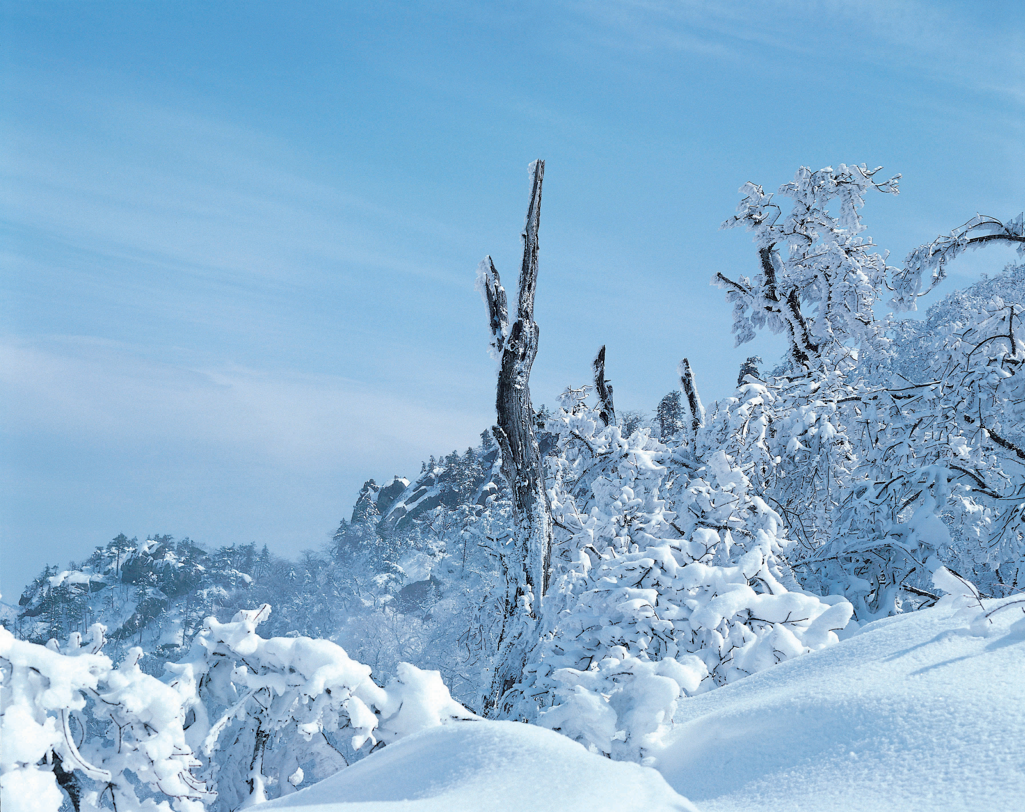 下大雪的风景图片图片