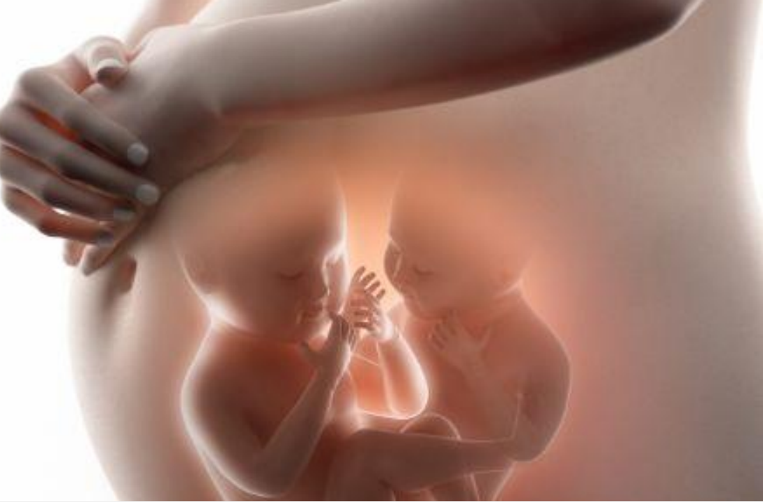 进行性肌营养不良症,女性dmd,症状性携带者及女性生殖系嵌合