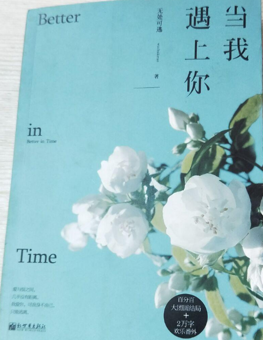 无处可逃《当我遇上你》,读后笔记