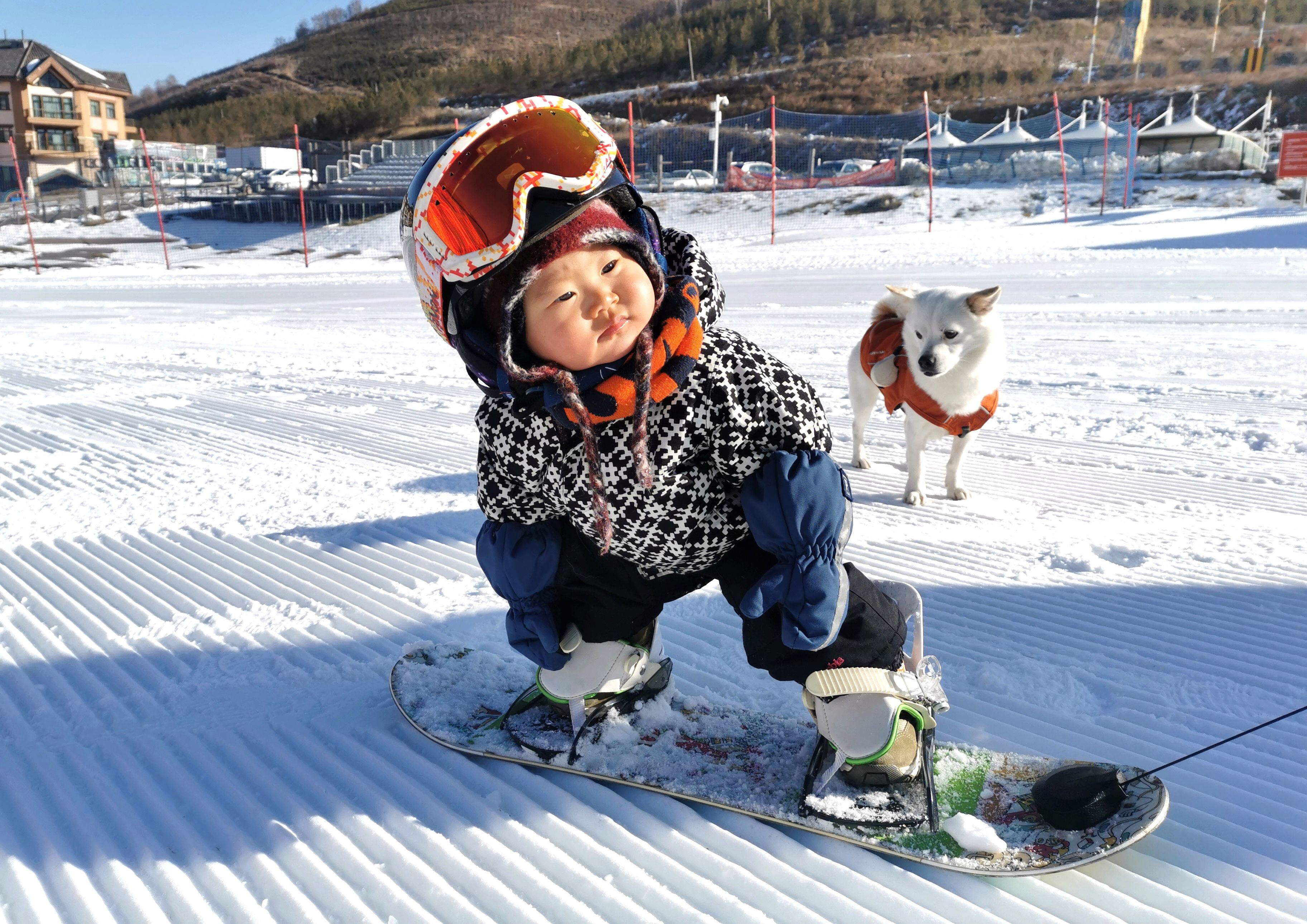 冬奥会开幕式滑雪萌宝 在旅途中烂漫长大