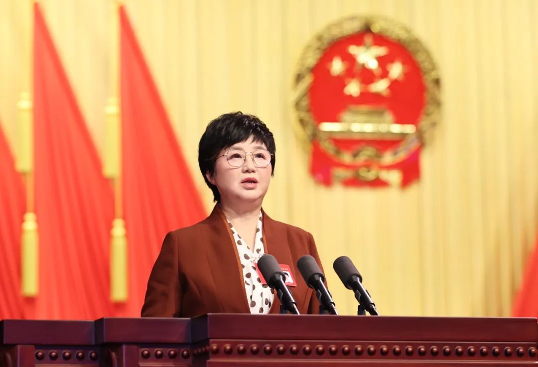 省人大常委会副主任王玲向大会作省人大常委会工作报告.