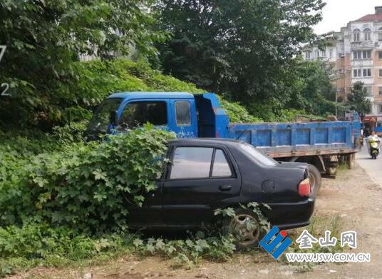 "僵尸车"长满蔓藤成"盆景" 引来市民拍照留念