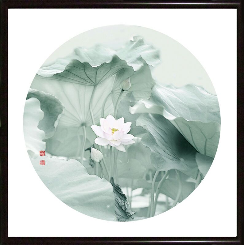 老沁:画意摄影 水墨荷花