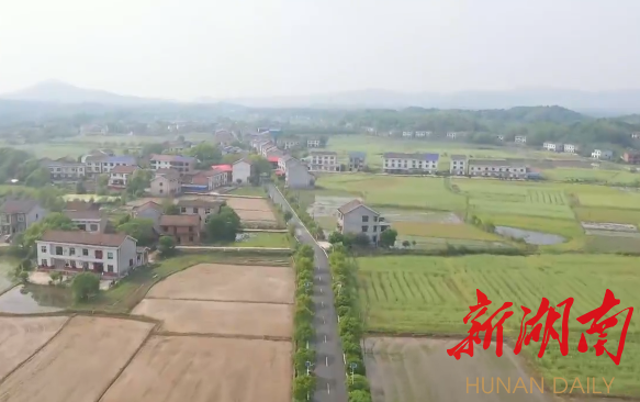 金湖湾畔"幸福潮涌"——醴陵市泗汾镇泗汾村金湖湾幸福屋场采风