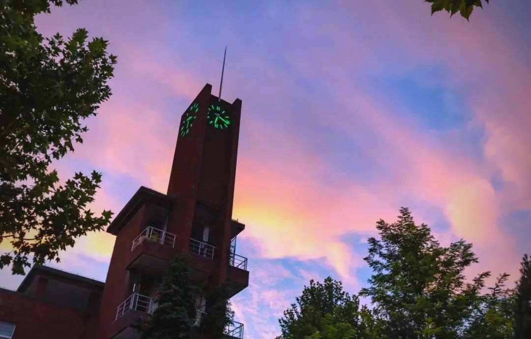 潍坊一中2024招生方案解读:录取标准与未来规划